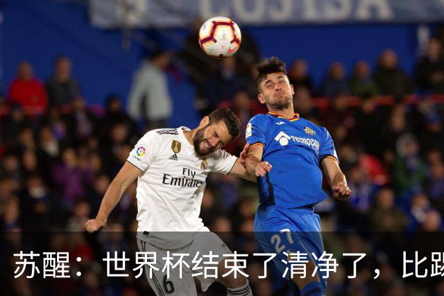 苏醒：世界杯结束了清净了，比踢到一半就淘汰的那种清净好